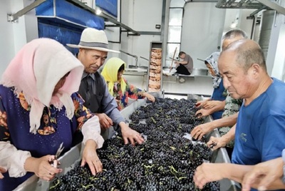 日媒:中國葡萄酒進(jìn)入全球主流市場(chǎng) 法國米其林給予最高級(jí)評(píng)價(jià)