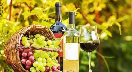 藍菲葡萄酒學院丨終于搞清楚有機葡萄酒、生物動力法葡萄酒了!