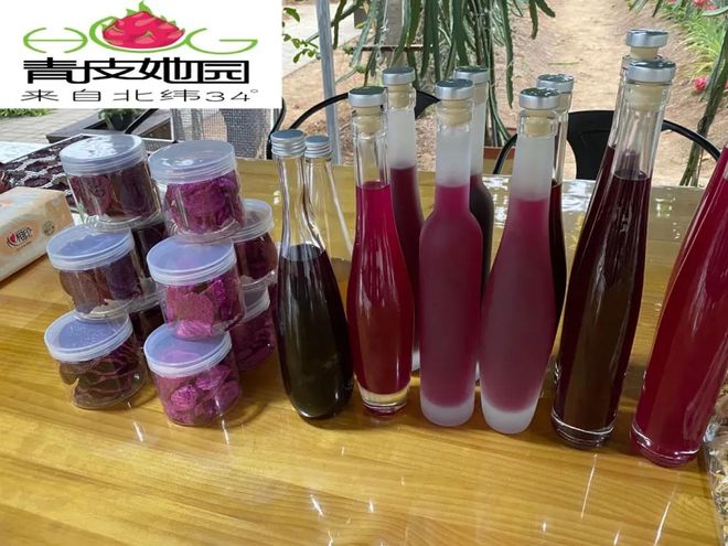 王艷:大膽開拓 創(chuàng)新火龍果“南果北種”產(chǎn)業(yè)鏈新模式