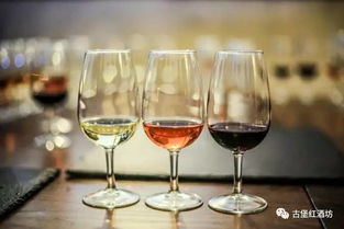 干型葡萄酒簡易指南